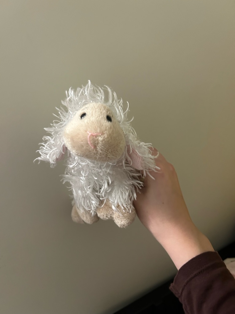 Lil Kinz Lamb